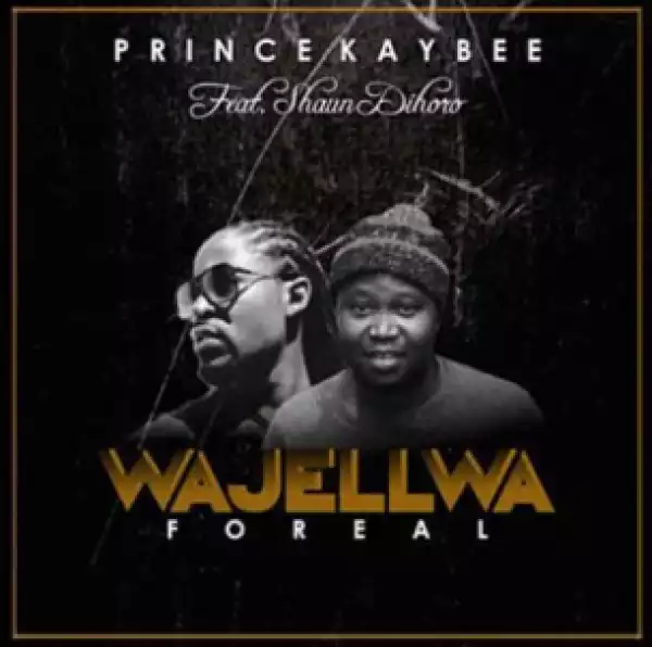 Prince Kaybee - Wajellwa (For real)